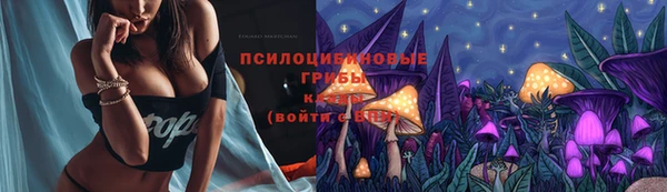 ПСИЛОЦИБИНОВЫЕ ГРИБЫ Алзамай