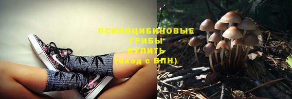 ПСИЛОЦИБИНОВЫЕ ГРИБЫ Алзамай